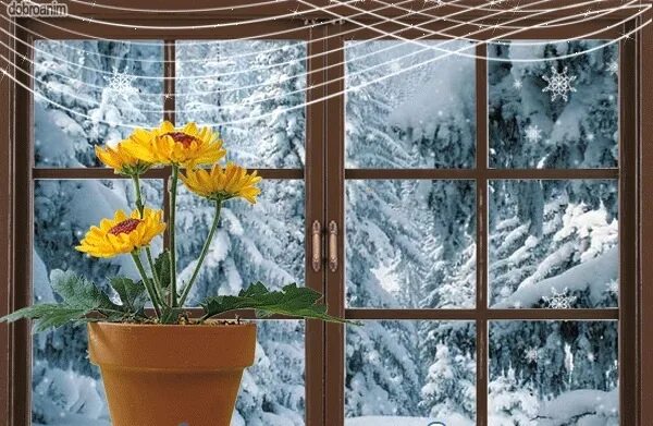 Стихотворение про дождь зимой. Зимние картинки красивые. Здравствуй поздняя осень. Хорошего настроения в любую погоду зима. Пусть дождь в ноябре пусть снег.