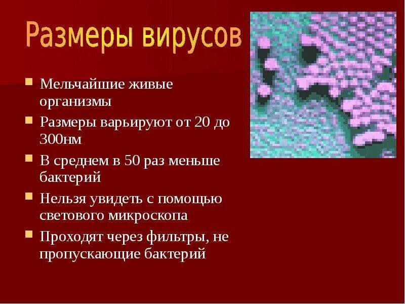 Сообщение на тему вирусы по биологии. Вирусы презентация. вирусы 11 класс. презентация по теме вирусы. интересные факты о вирусах биология.