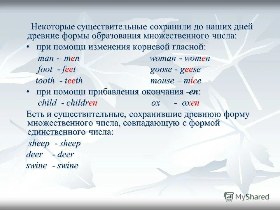 Жизнь множественное число. Правильная форма множественного числа. Образование множественного числа имен существительных. Формы множественного числа существительных. Железо форма множественного числа.