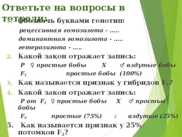 Генотип гомозигота и гетерозигота. Доминантная гомозигота генотип. Рецессивная гомозигота. Доминатная ди гомозиготп.