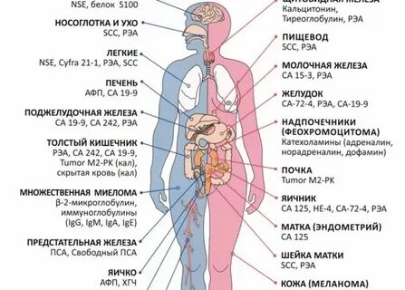 Әдемі қара әйелдермен порно