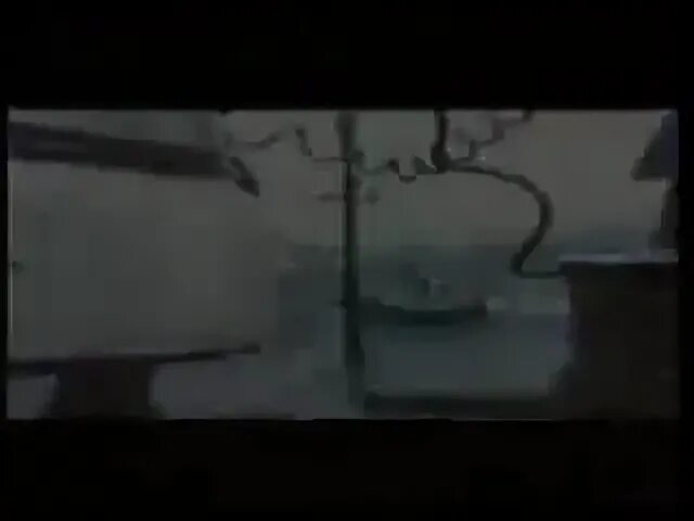Дельфин осень слушать