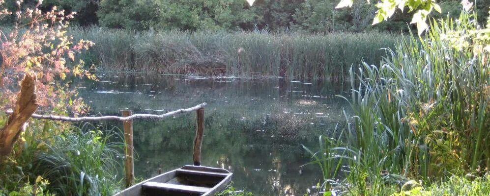 Село петропавловское воронежской области