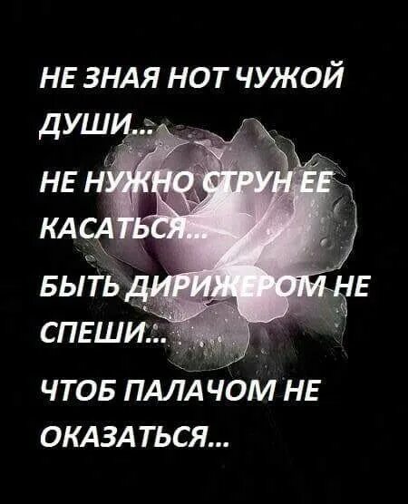 Не зная струн чужой души. Красивые высказывания про гитару. Пароль любви довольно прост. Душа касается души цитаты. Не зная струн чужой души её касаться быть дирижером спеши.