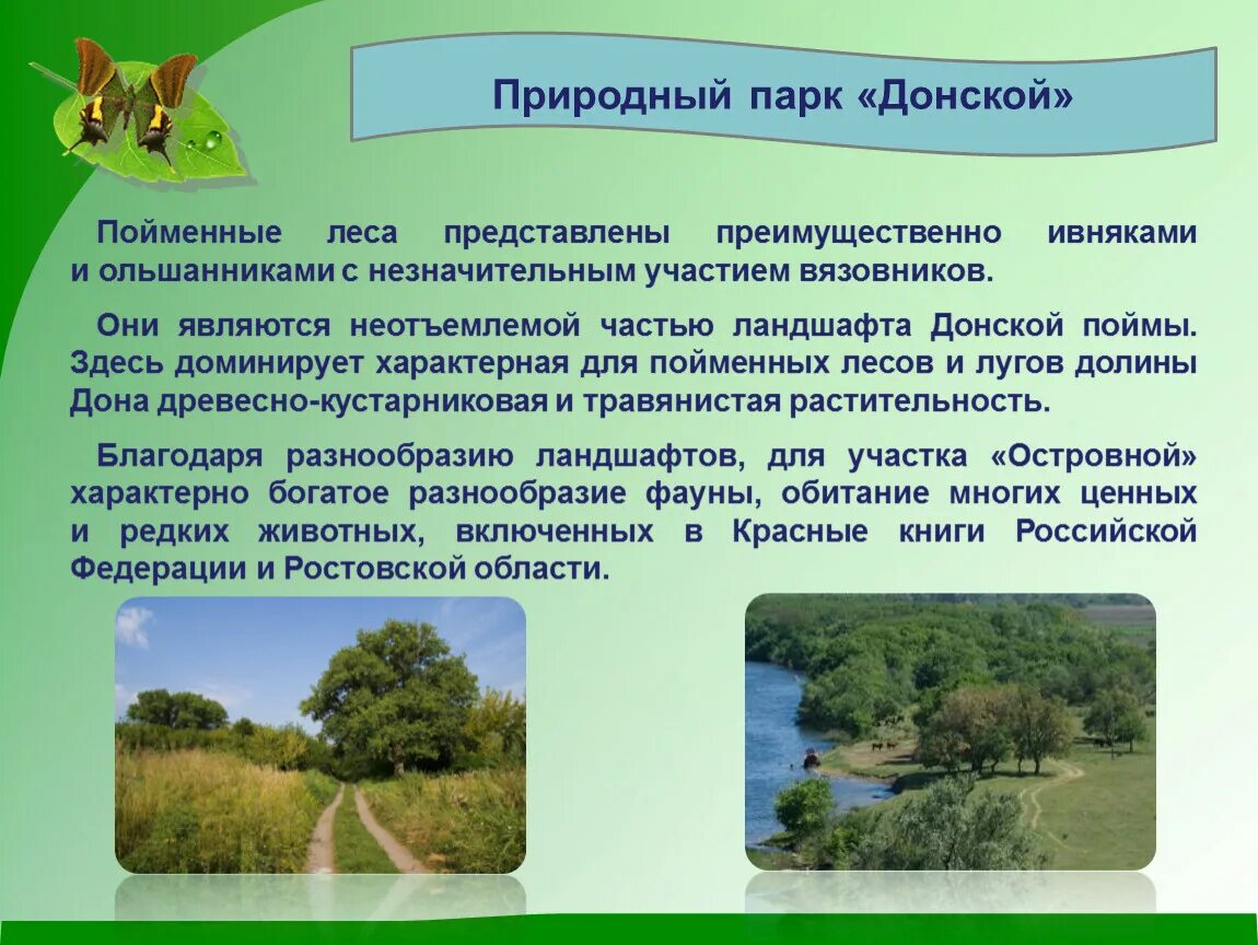 Природный парк Донской информация Волгоградская область. Природный парк Волгоградской области Донской сообщение. Донской природный парк Ростовская область. Охраняемые территории Ростовской области. Природные парки доклад