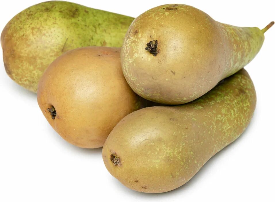 Груша 11. Для детей желтая груша. Груша 11. Дынная груша сорт. Груша китайская нэши.