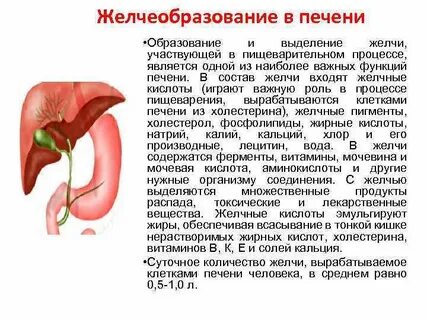 Что такое желчный сок