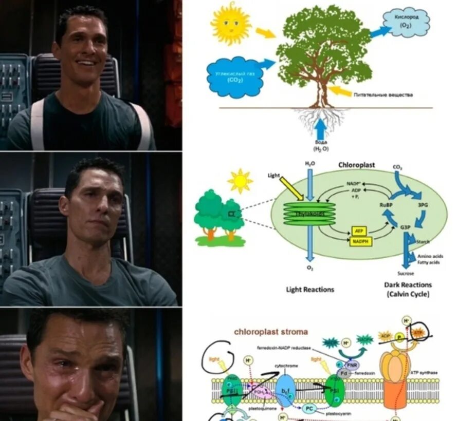 Какой задать вопрос биологу. Химия. Какой вопрос можно задать биологу 5 класс. Мемы биология егэ. Предложения на тему биолог.