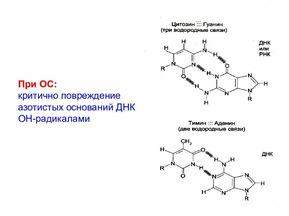 Реакции образования макромолекул