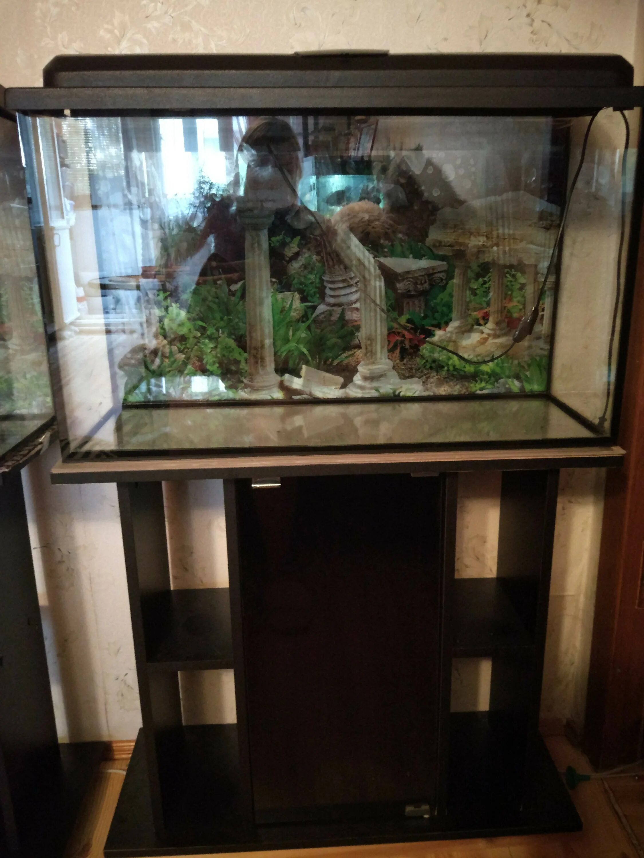 Аквариум 15 литров. Аквариумные тольятти. Аквариум 160л. Аквариумные тольятти. Аквариумные тольятти.