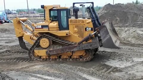 Сат d9r