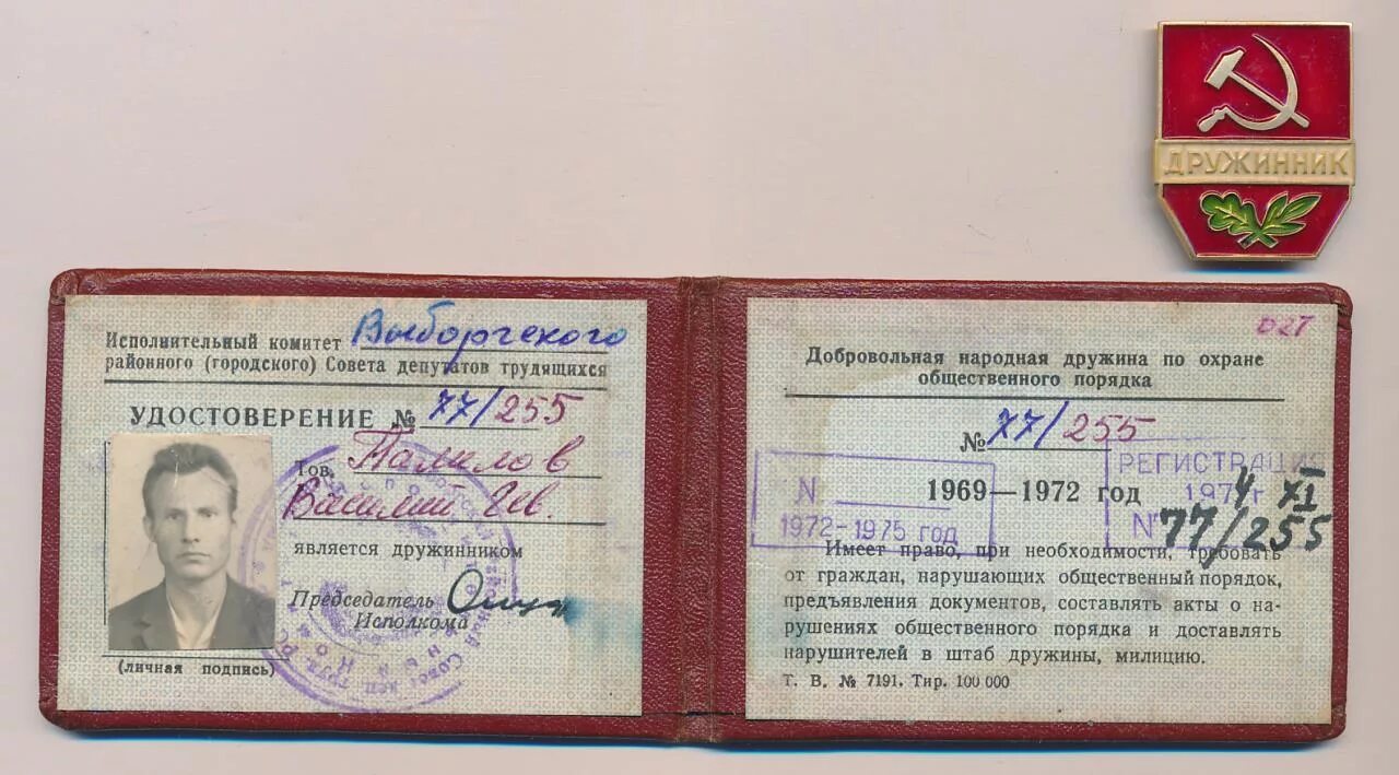 Система дружинник