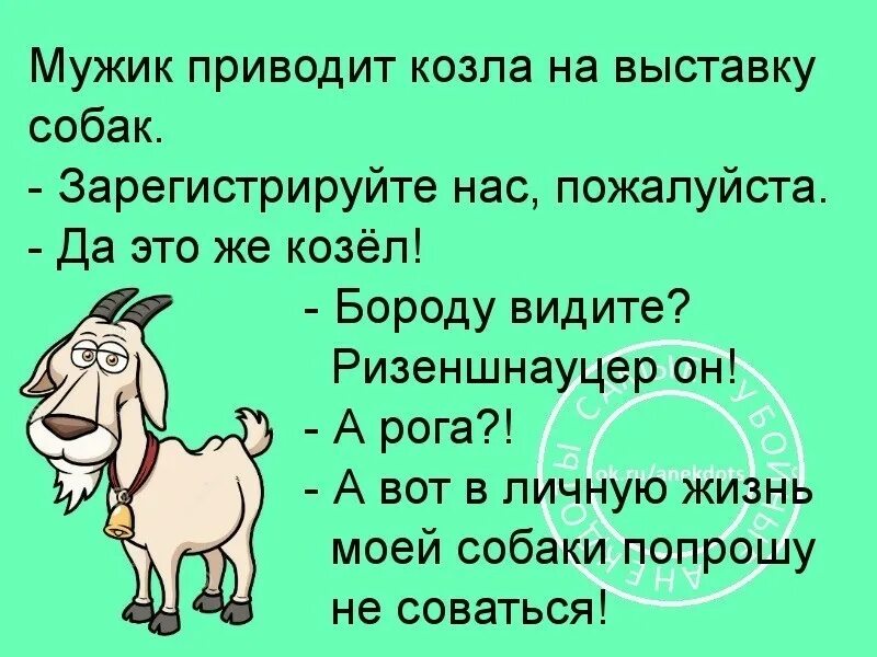 Шутки про козла. Анекдот про козла. Смешные шутки про Козлов. Анекдоты про Козлов смешные.