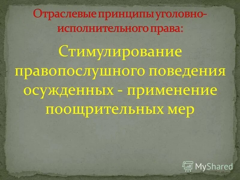 Уголовное право самостоятельная отрасль. Правопослушное поведение. Отраслевые принципы в уголовно-исполнительном законодательстве.