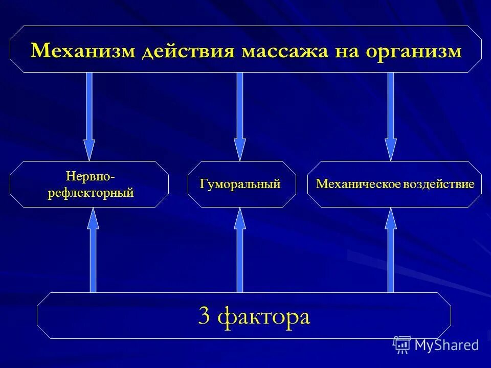 механизм действия гельминтов на организм человека. механизмы воздействия на ребенка. физиолечение механизм действия. физио общие методики. механизмы лечебного действия физических упражнений и массажа.