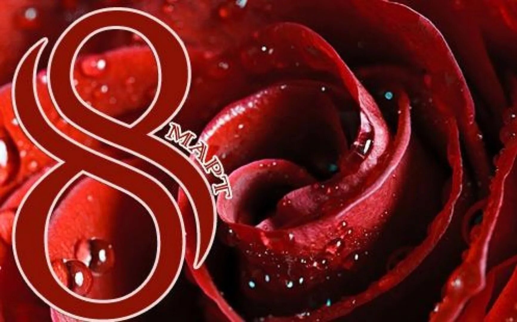 Гулар феруза. Шикарный букет цветов. Гулар манзараси. Красивый букет роз. Роза гулдор.