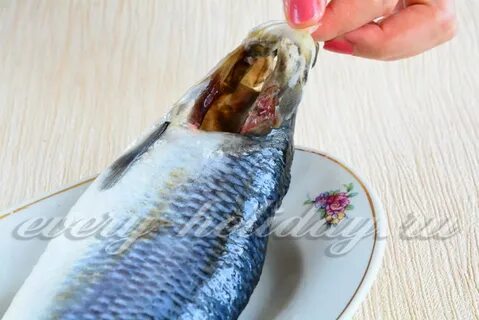 Рецепт соленой сельди целиком