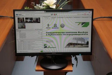 Сдо мсха
