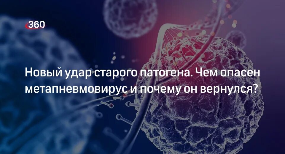 Метапневмовирус у ребенка. Метапневмовирус. Метапневмовирус фото. Вирус полиомиелита иммунитет.