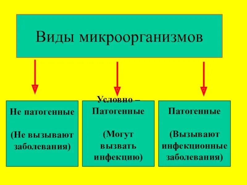 Патогенные микроорганизмы болезни. Патогенные и условно патогенные. Условно патогенные инфекции. Патогенные и условно патогенные инфекции это. Условно-патогенные бактерии могут вызвать.