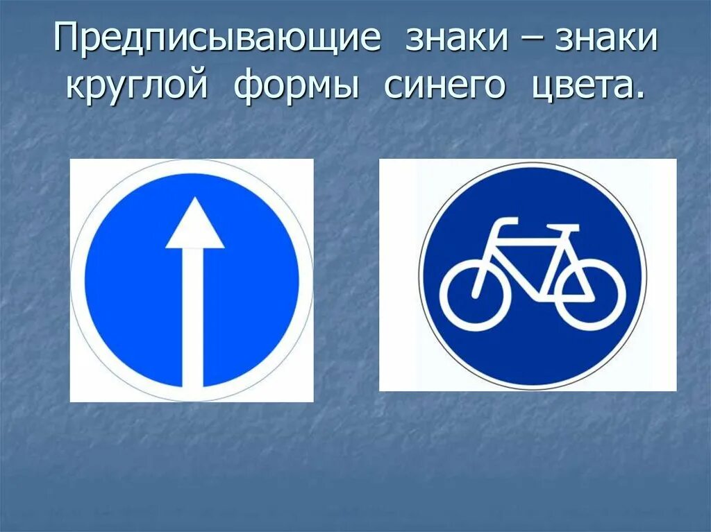 Знаки. Дорожные знаки. Предписывающие знаки знаки. Дорожные знаки синие круглые. Круглый знак на дороге