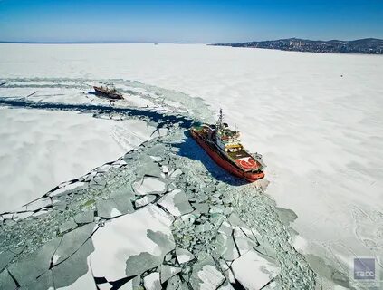 Ледокол спас китов в америке