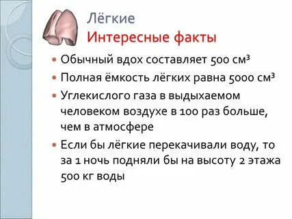 Факты о строении