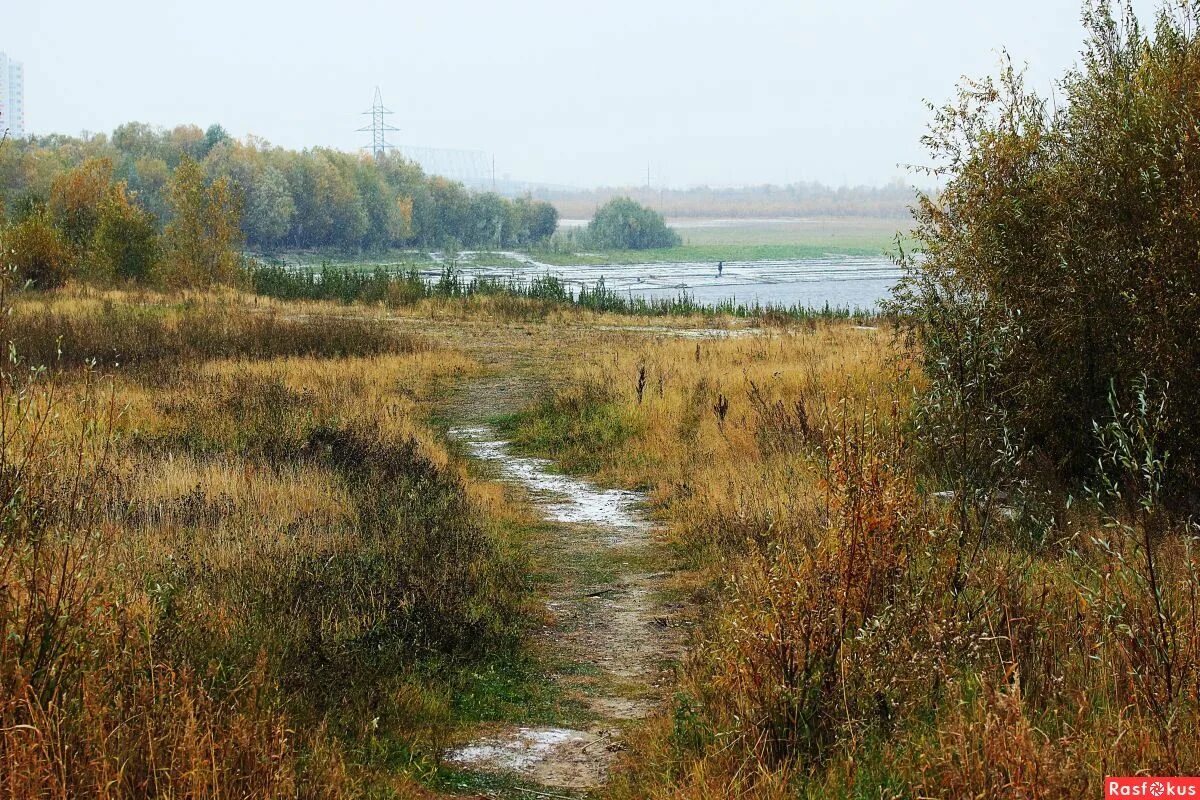 Рыбак на берегу. Рыбачья тропа. На рыбачьей тропе книга. Приходилось ли вам ходить рыбачьими тропками. Приходилось ли вам ходить рыбачьими тропками.