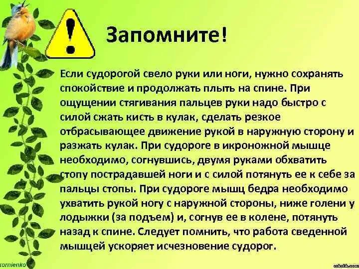 Пальцы на ноге сводит судорогой что делать. Что делать если свело ногу судорогой.