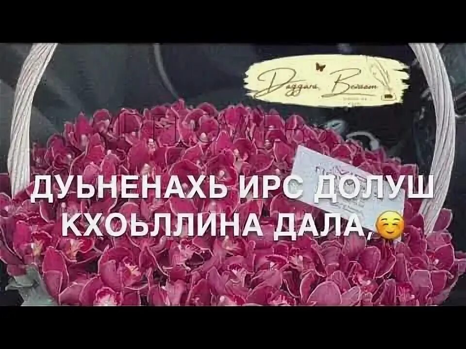 Нена йиша декъал йойла. Аллах1 декъал йойла хьо. дал декъал йойл хьо раяна.