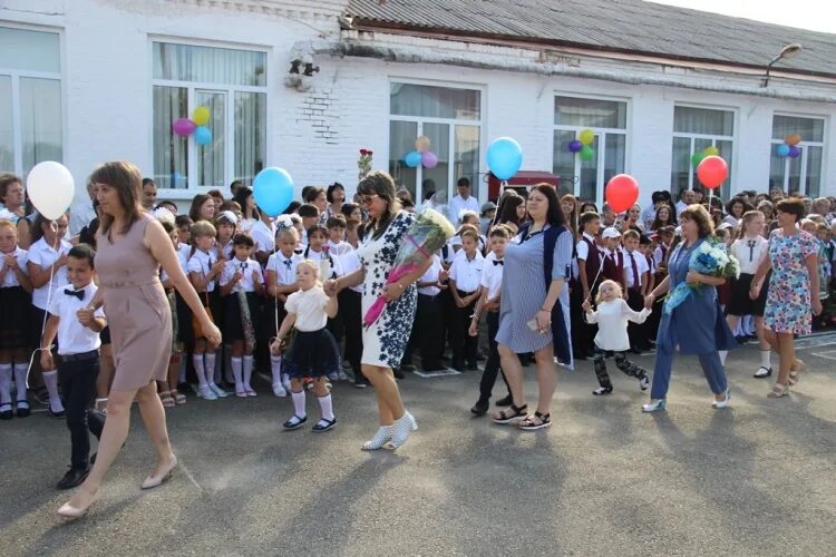 Школа 16 в Отрадной Краснодарского края. Станица Отрадная школа. Станица Отрадная школа 1. Школа 16 Отрадненский район. Прогноз погоды отрадная отрадненский район краснодарский край