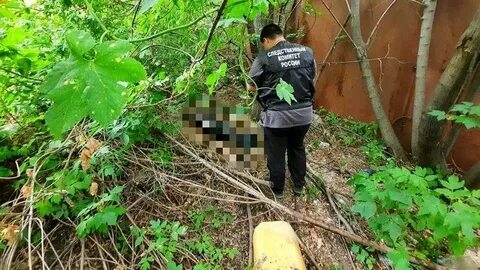 Сторожа волжском