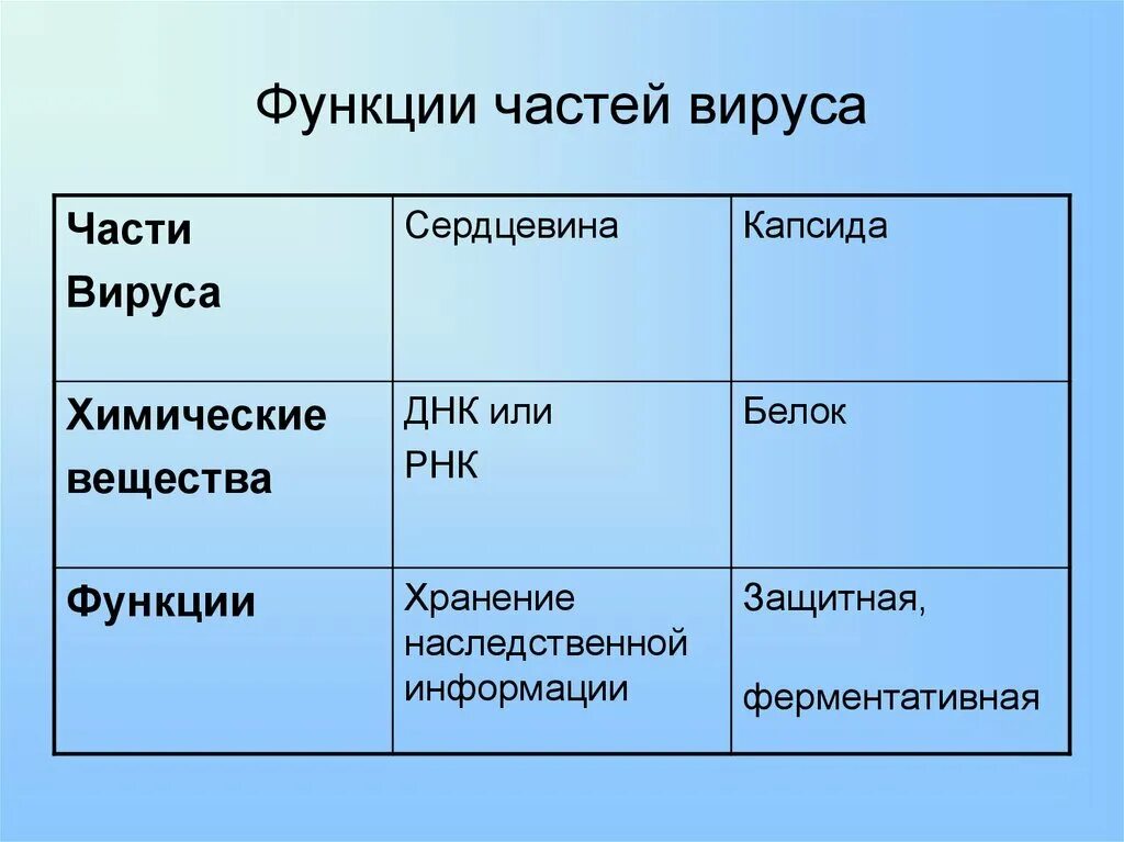 Особенности строения и жизнедеятельности вирусов 5 класс. Вирусы их строение и функции. Функционирование вирусов биология. Функции вирусов биология. Функции частей вируса таблица.