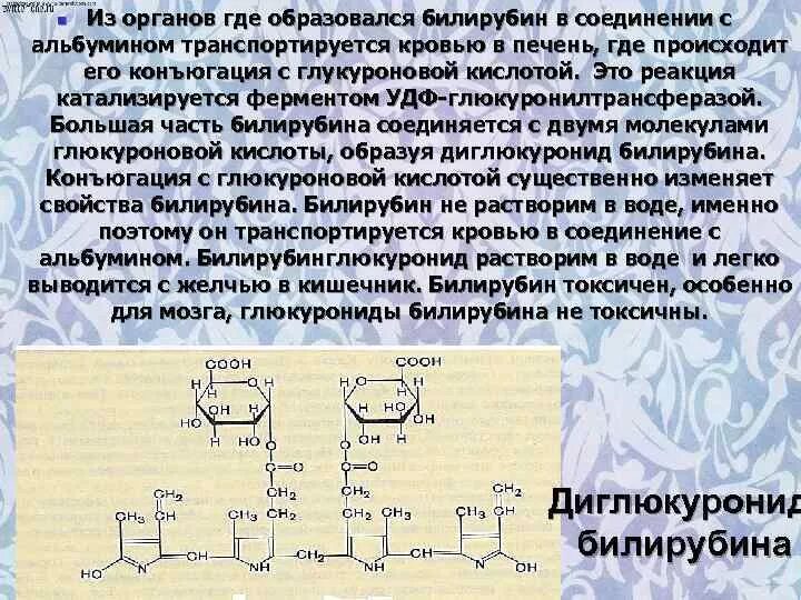 Реакция на билирубин. Конъюгация билирубина с глюкуроновой кислотой. связывание билирубина с глюкуроновой кислотой. прямой билирубин образуется. фермент конъюгации билирубина.
