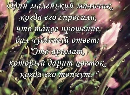 Этот цветок был когда то