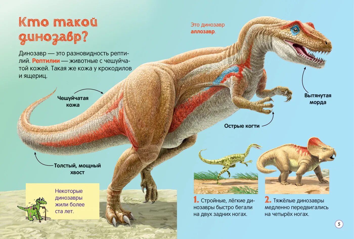 Конспект динозавры. Динозавры названия. Динозавры картинки с названиями. Описание динозавров. Динозавры для детей с названиями.