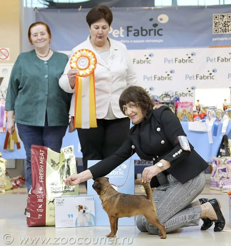 зоокурьер выставки собак в спб 2024