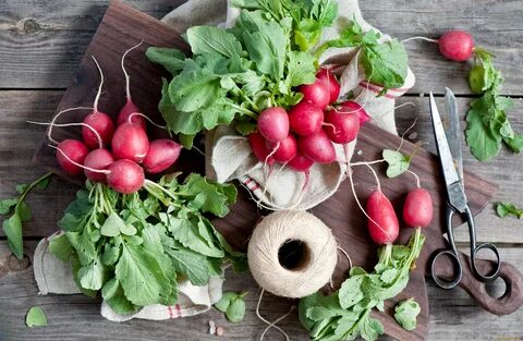 Чем полезны листья редиски