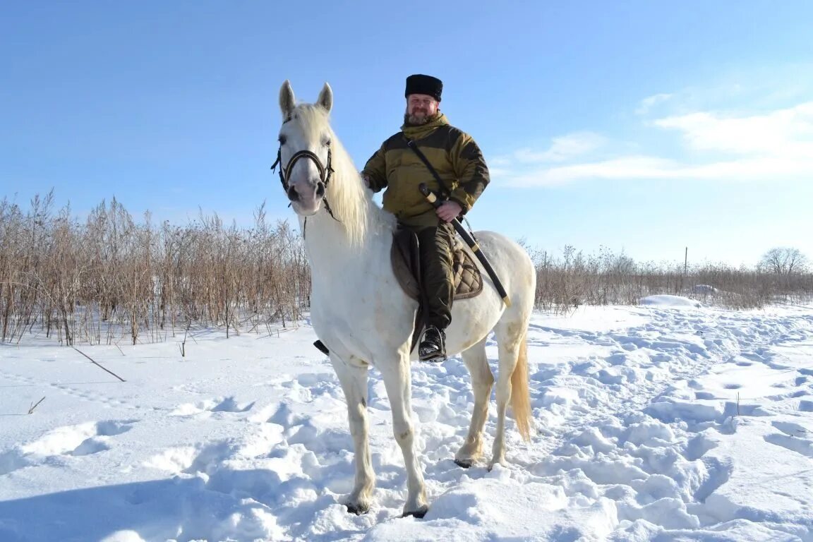 Челюскин петербург