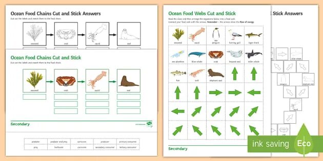 Chain answers. Food chain worksheet for kids. пищевые цепи таблица. arctic food chain. пищевая цепь vp9.