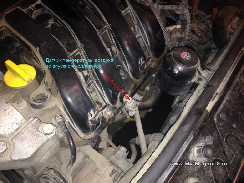 6. Датчик охлаждающей жидкости рено меган 1. Датчик температуры меган 2 дизель 1. Датчик охлаждающей жидкости рено сценик 2 пробка. Датчик температуры двигателя меган 2.