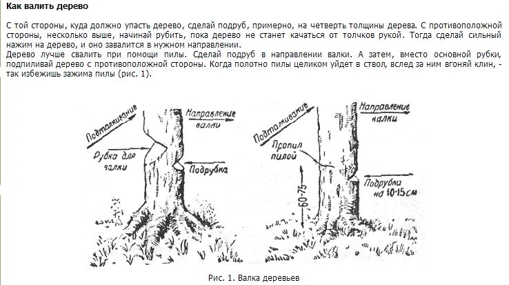 Ствола на высоте 1 3