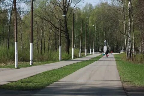 Парки богородска