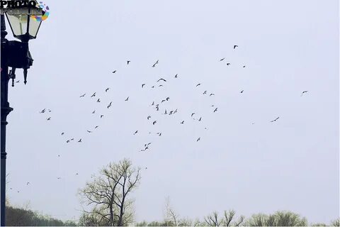 Унеси ветер слова