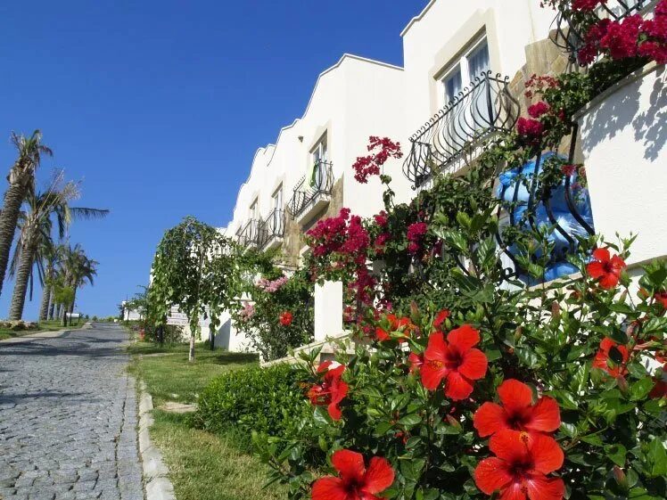 Yasmin resort 5 бодрум. Отель Ясмин Бодрум Турция. Yasmin Bodrum Resort 5.