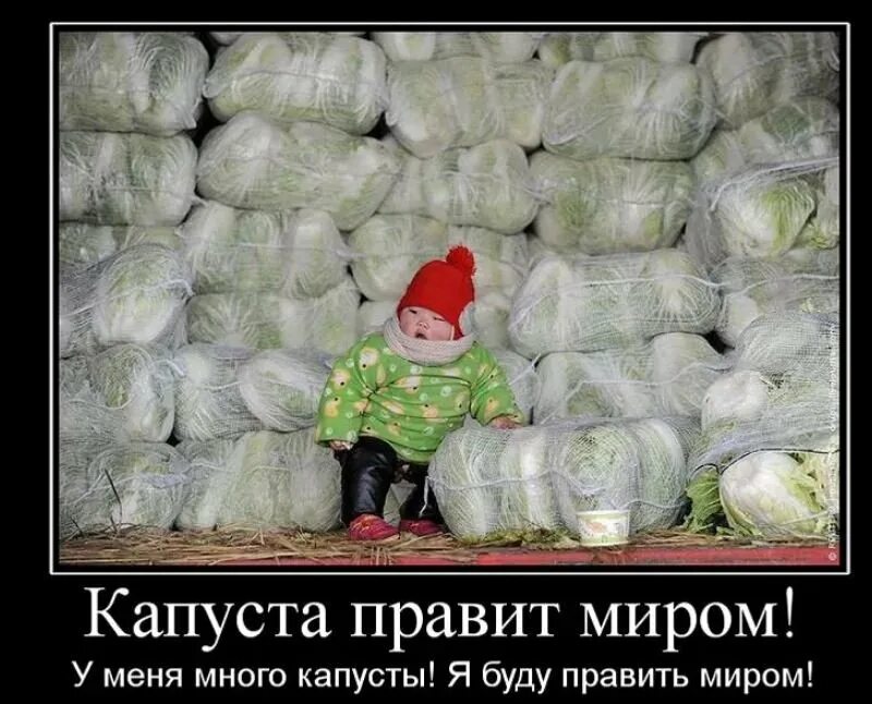 мемы про жрать. смешные шутки про огород. мемы про работу смешные. про приколы побольше. смешной мем про работу.