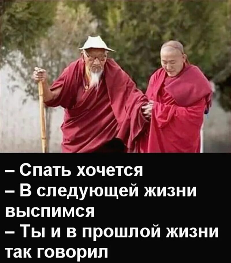 Какой будет следующая жизнь