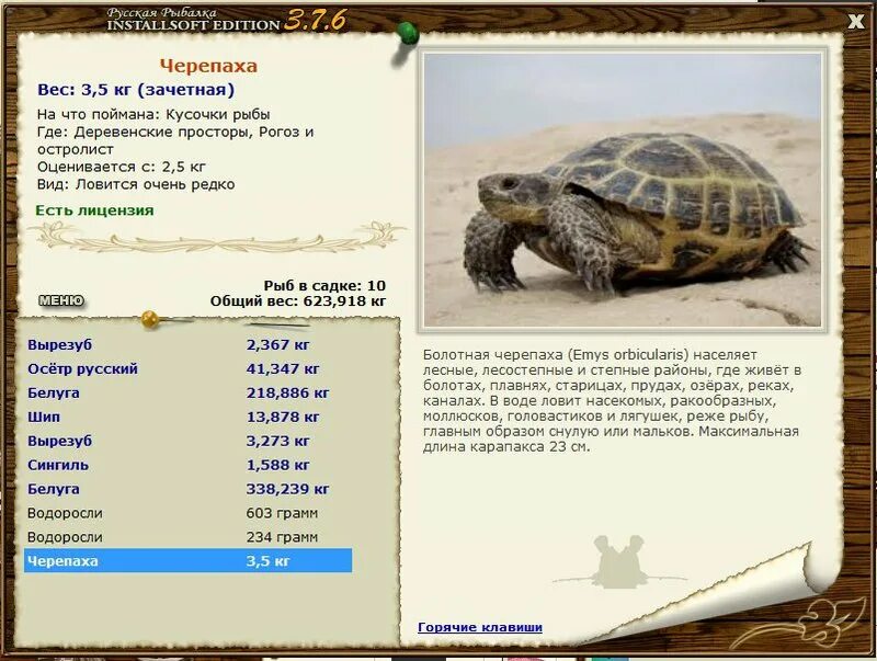 средний вес черепахи. вес черепахи. таблица возраста черепахи. вес черепах. сколько весит средняя черепаха.