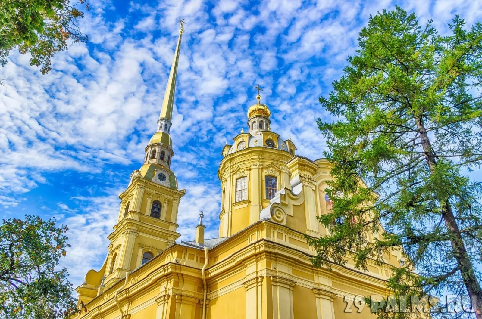 Петропавловский собор санкт-петербург. Спб петропавловский собор иконостас. Собор петропавловской крепости внутри. Петропавловский собор санкт-петербург. Петропавловский собор санкт-петербург.