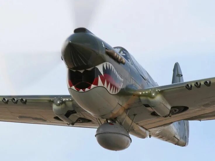 Акулья пасть на самолёте. P-40 tomahawk. Самолет пасть. Самолет с зубами. Curtiss p-40 warhawk.